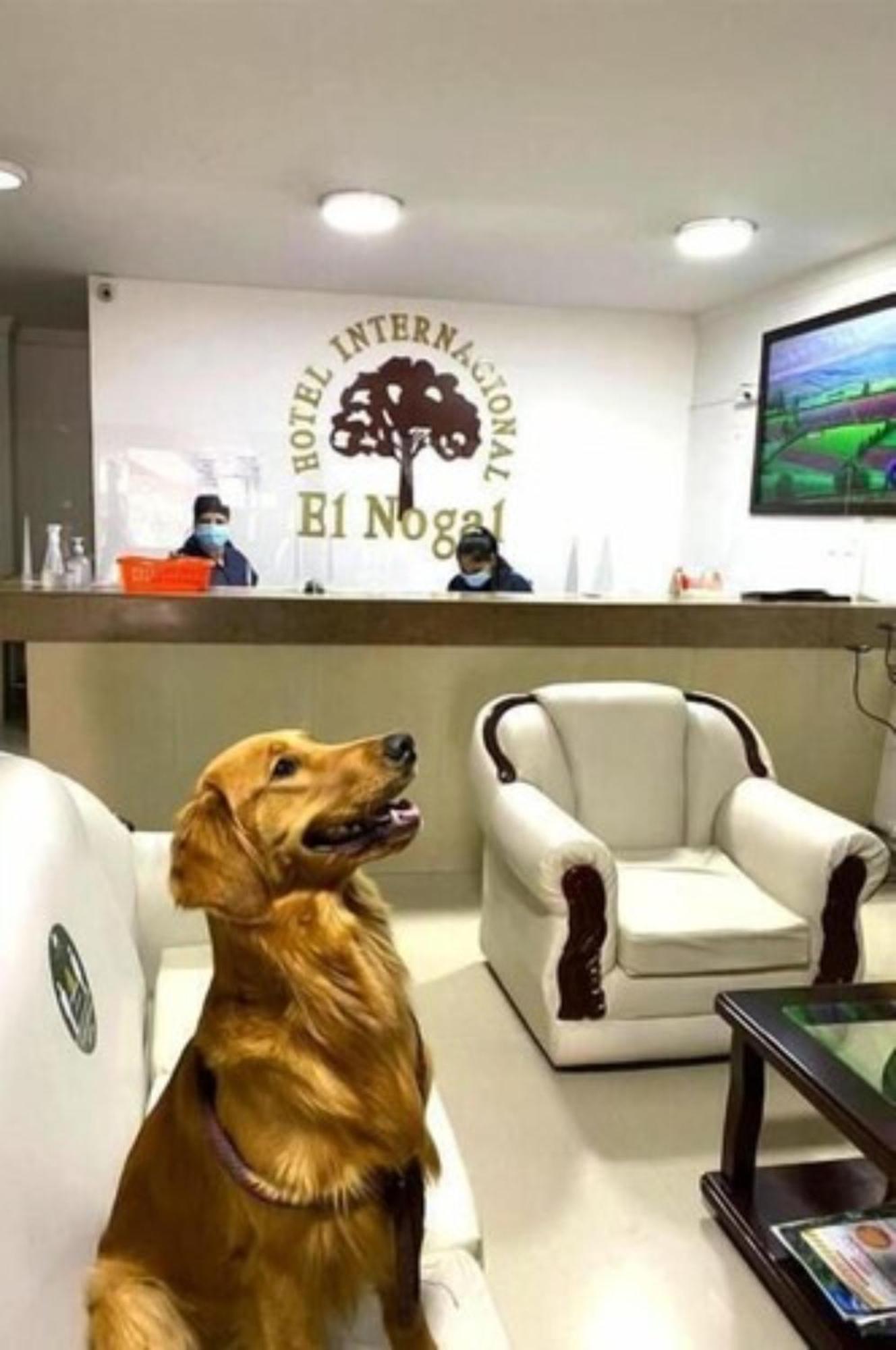 Internacional El Nogal Ipiales Hotel ภายนอก รูปภาพ